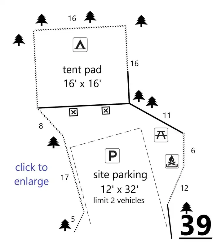 39