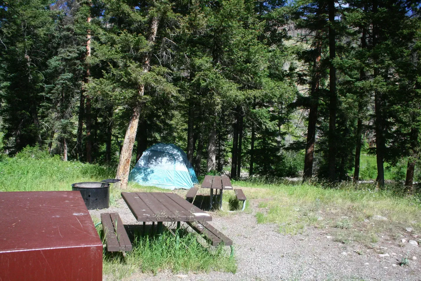 Slough Creek site #12