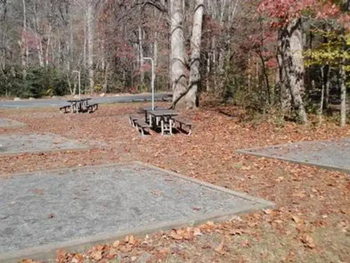 Smokemont Group Camp