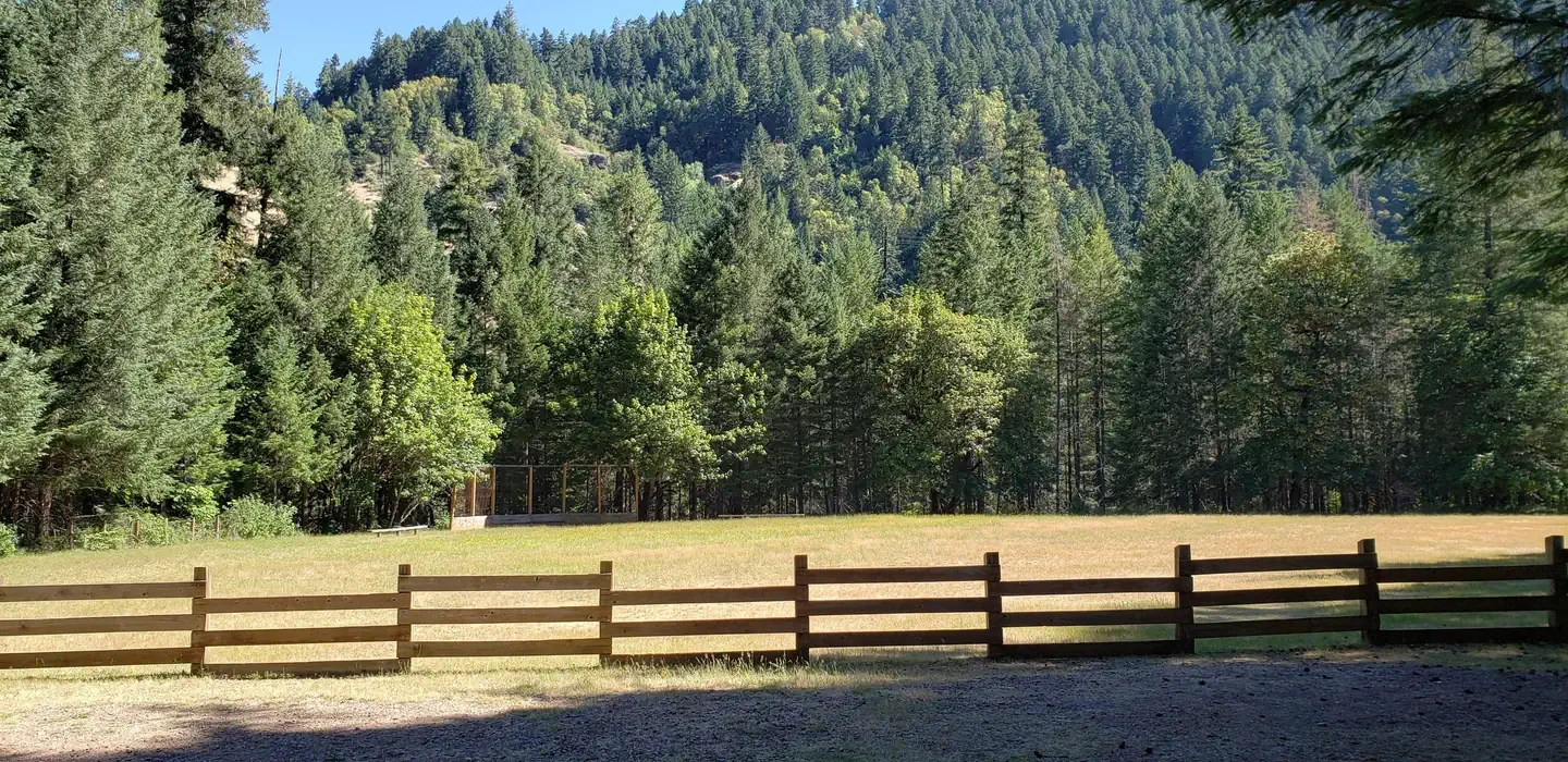 Steamboat Ball Field Group Site