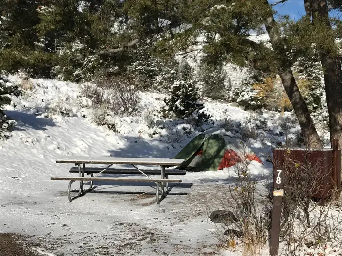 Mammoth site #78