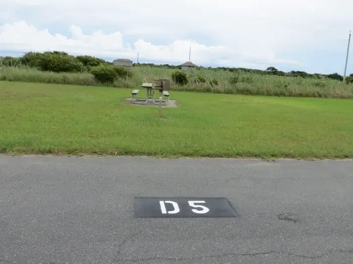 D005