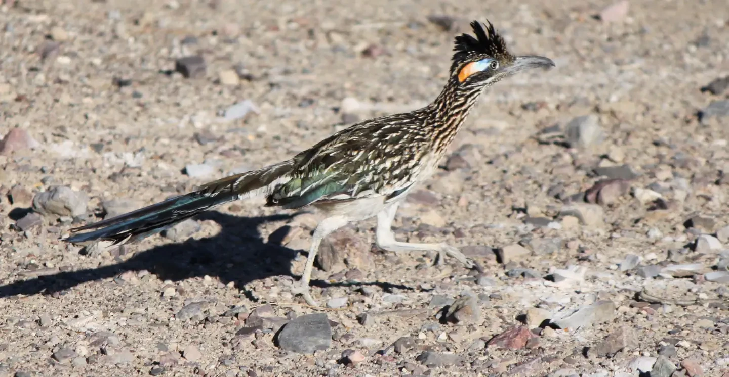Death Valley National Park