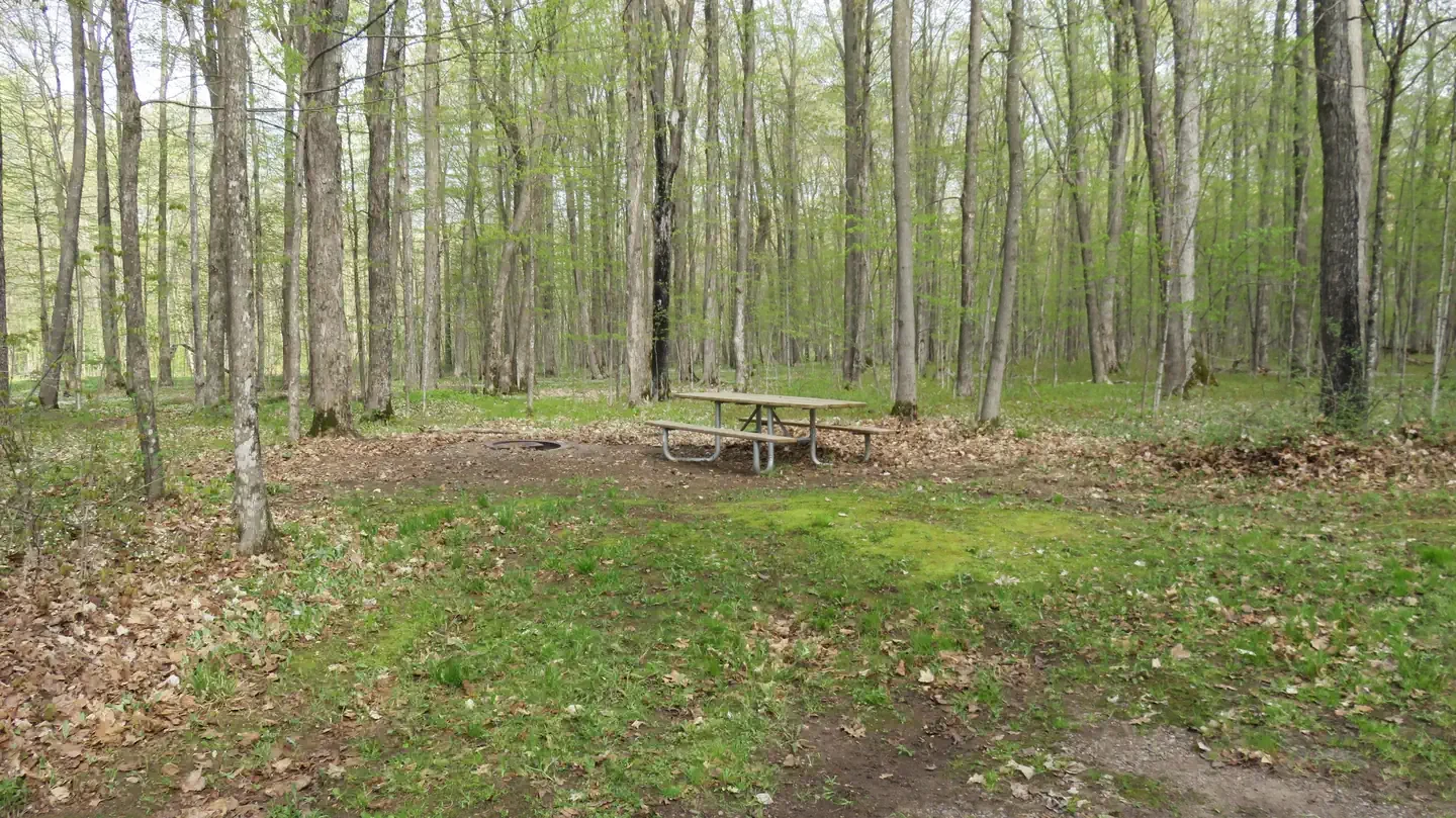 S31
