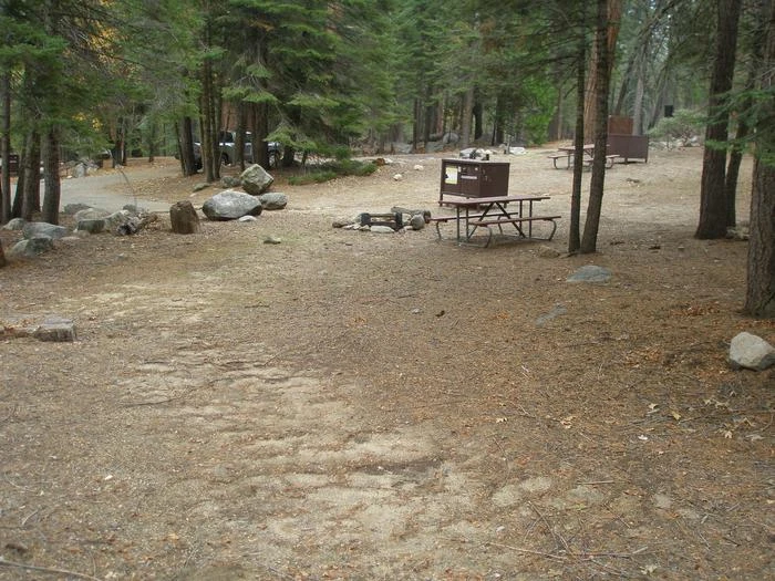 Site: 45