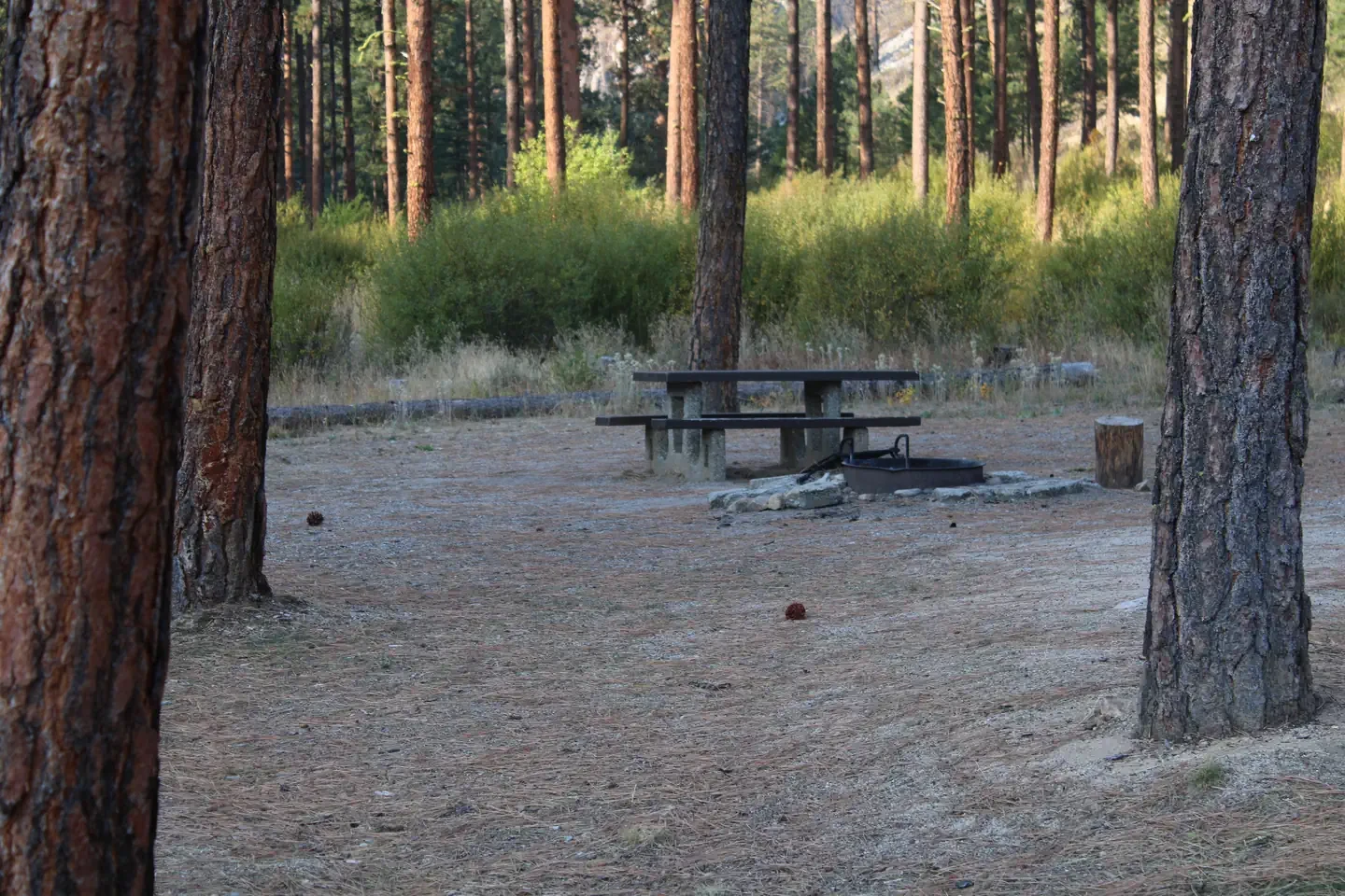Pine Flats (id)