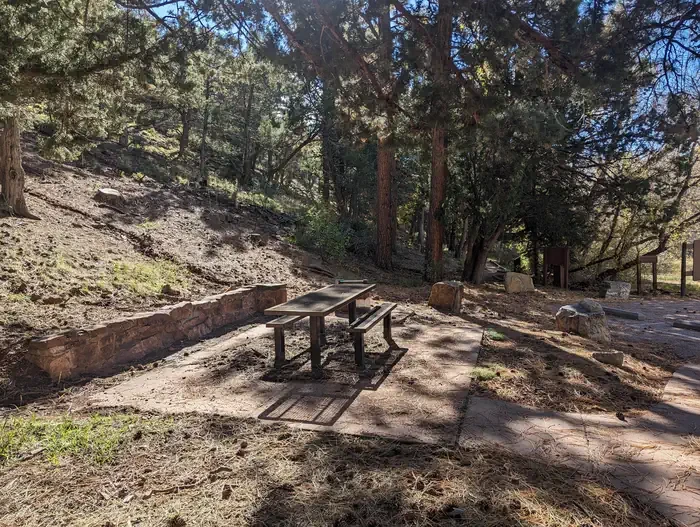 Cienega Picnic Site