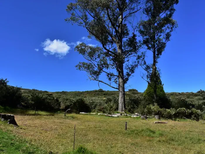 Hosmer Grove Campground