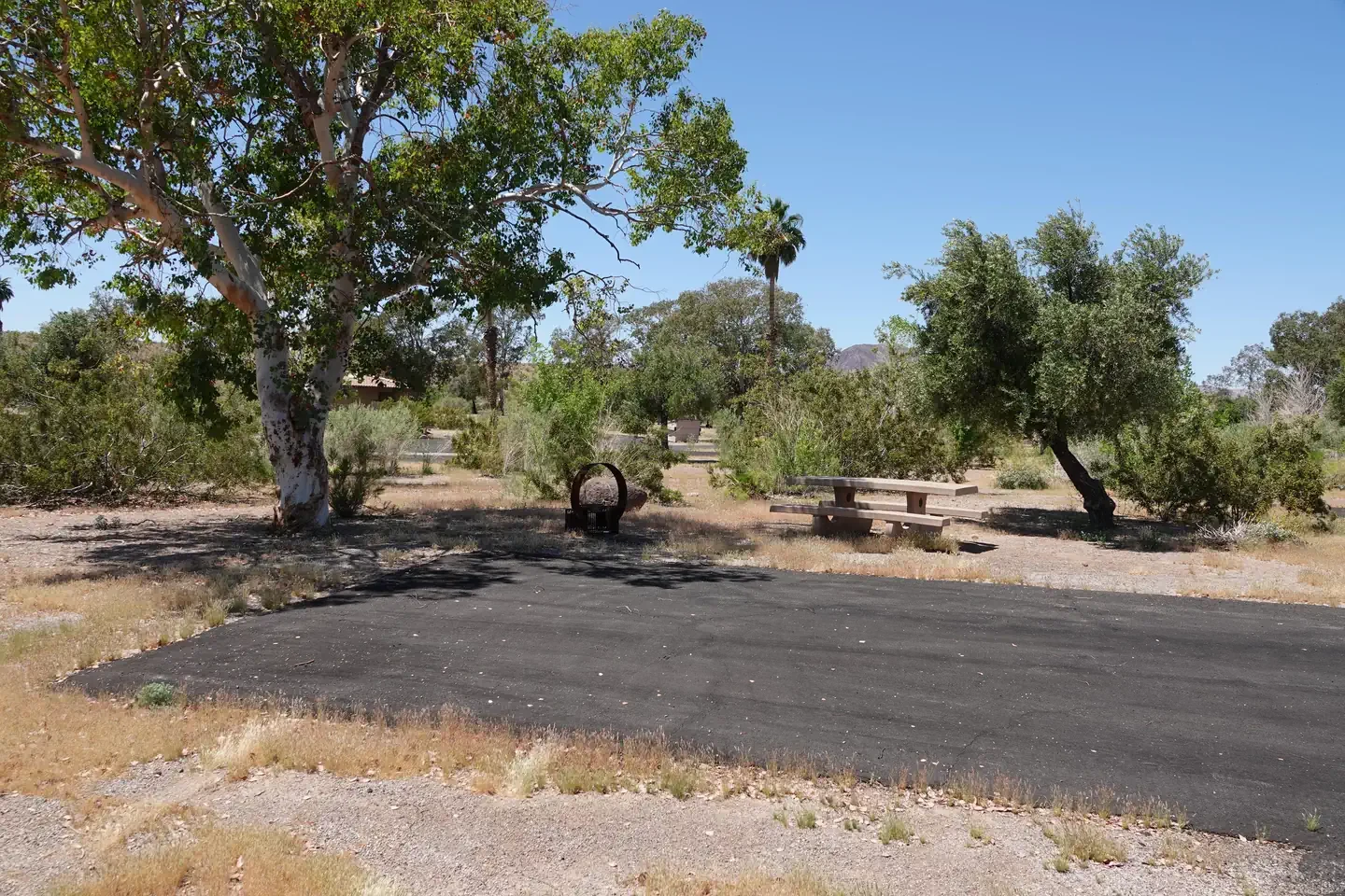 Site 61