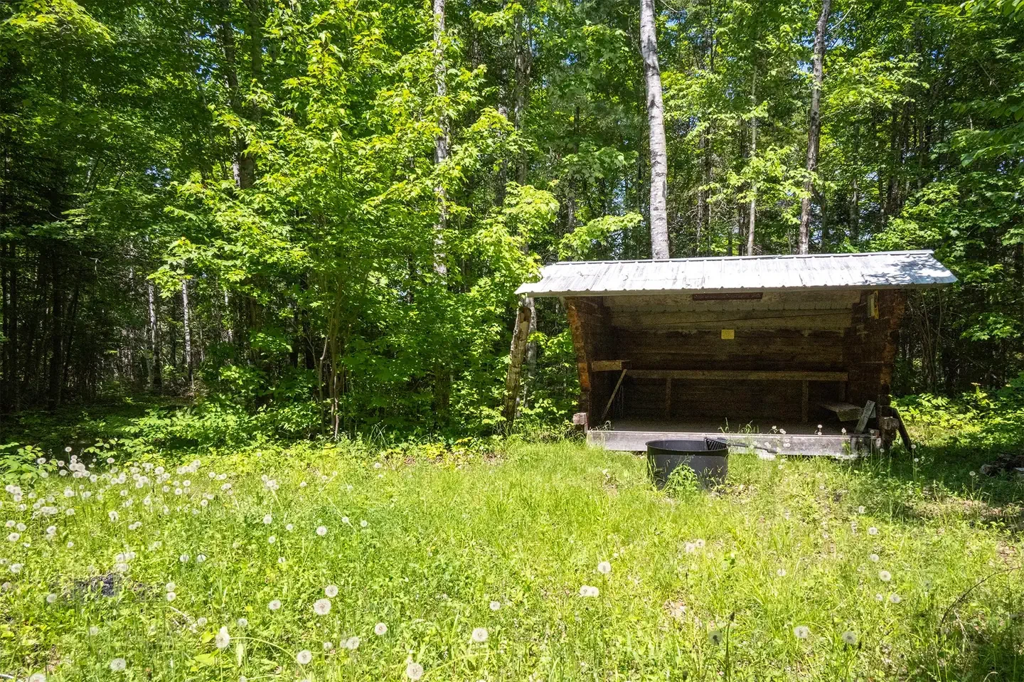 Grand Pitch Lean-to