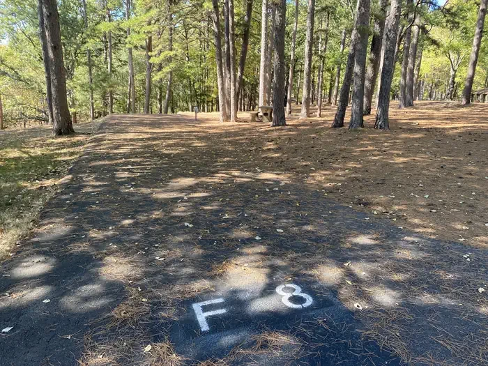F08