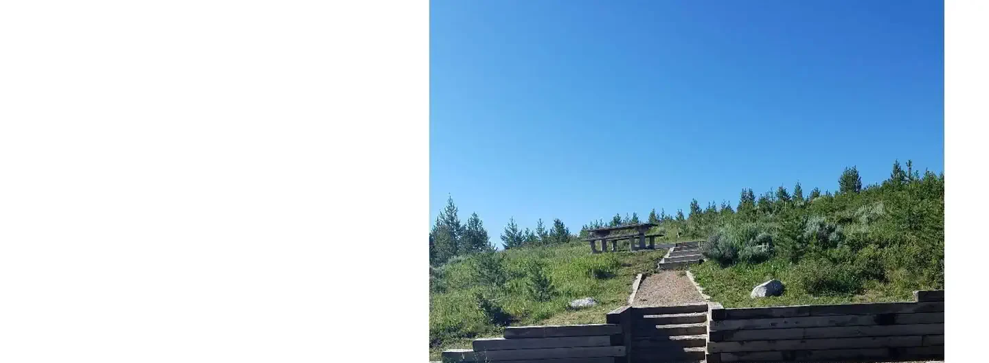 B010