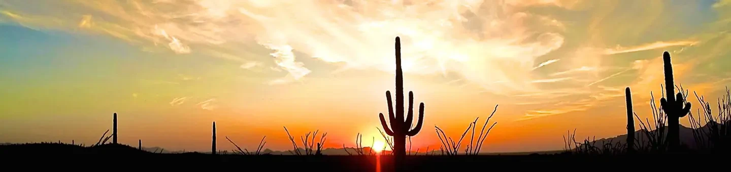 Saguaro National Park