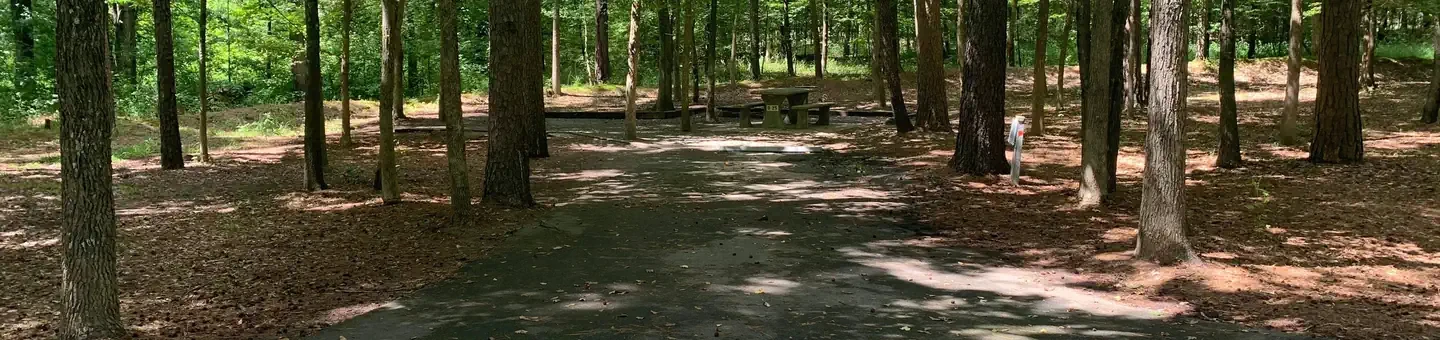 D25