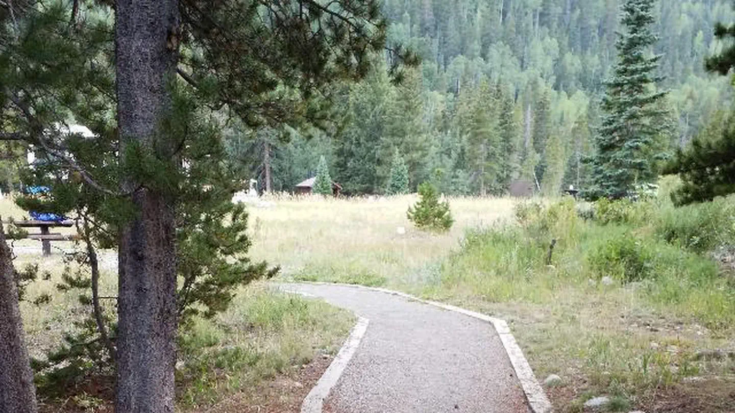 Camp Dick