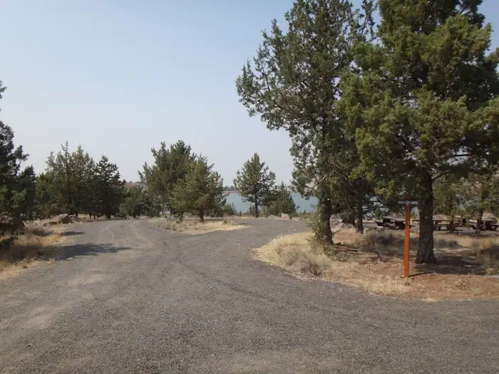 Juniper Group Campsite