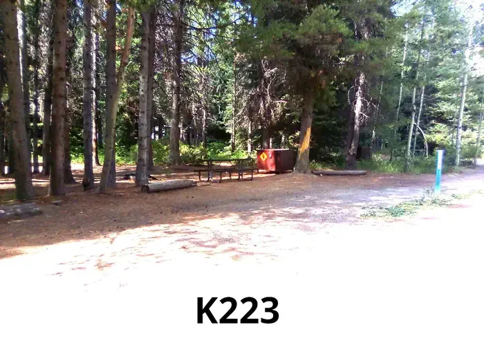 223