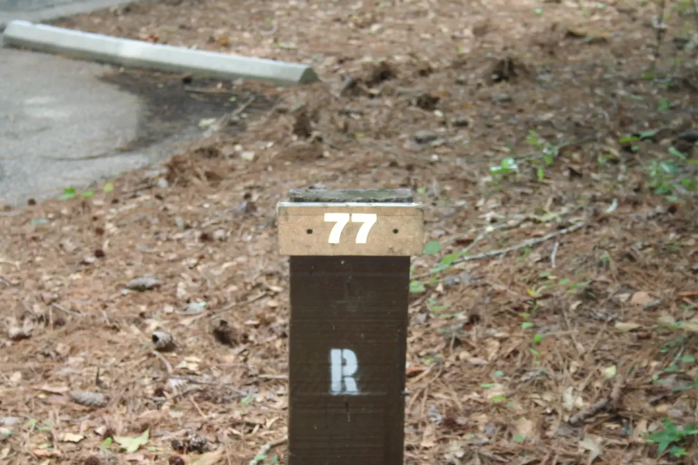 077