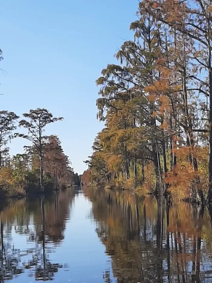 Okefenokee National Wildlife Refuge Overnight Camping Permit