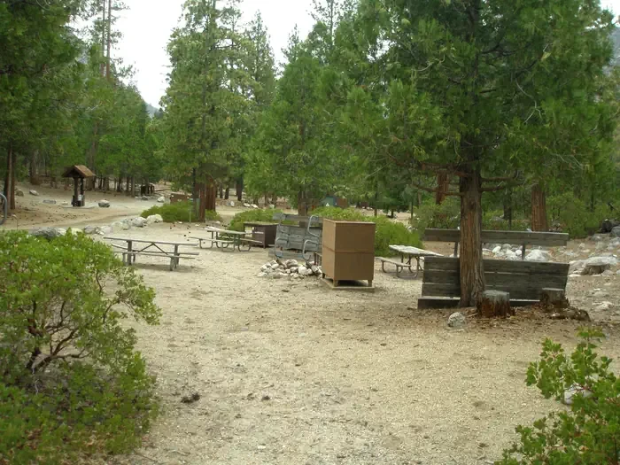 Site B