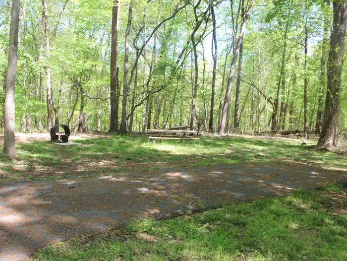D126 Host Parking