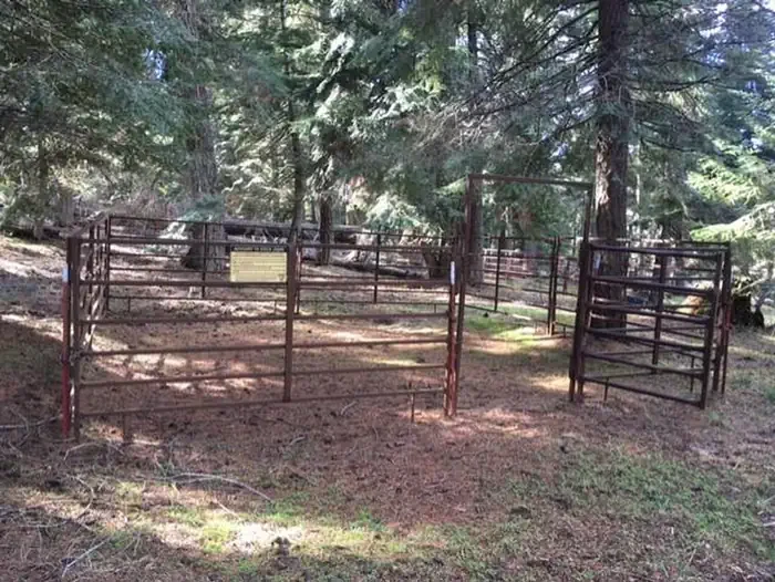 03-Equestrian Camp