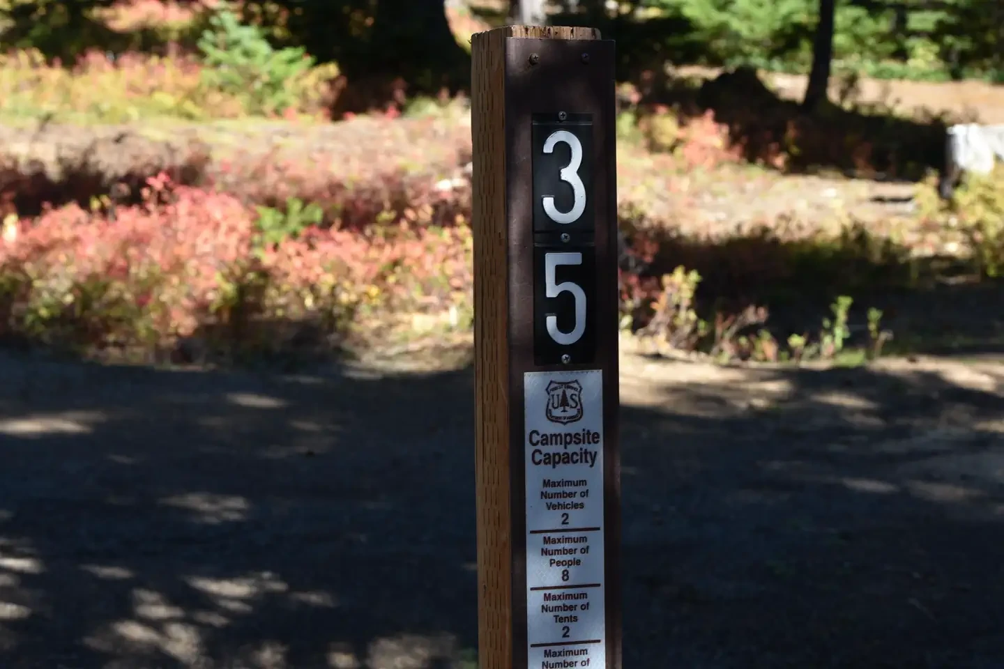 35