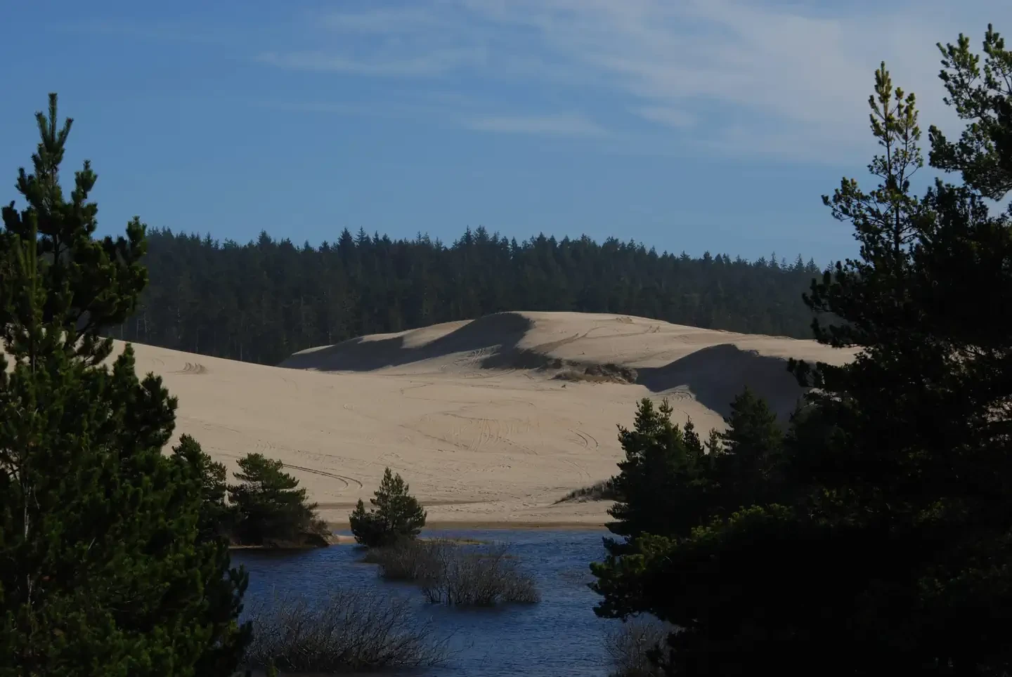 Spinreel Sand Camping