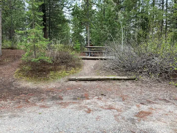 51