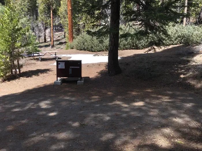 Site:  32