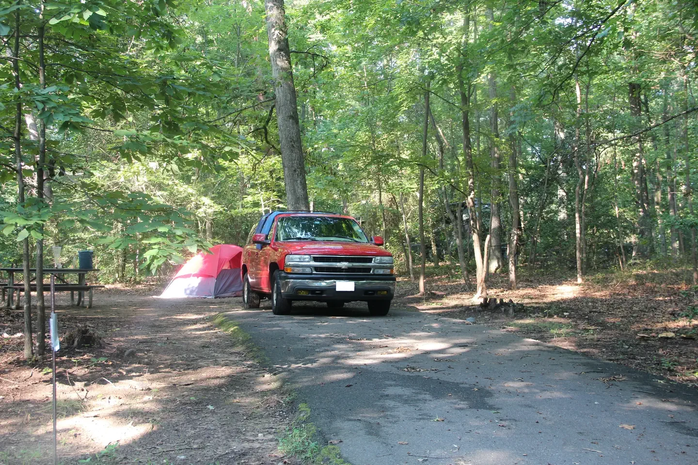 D113