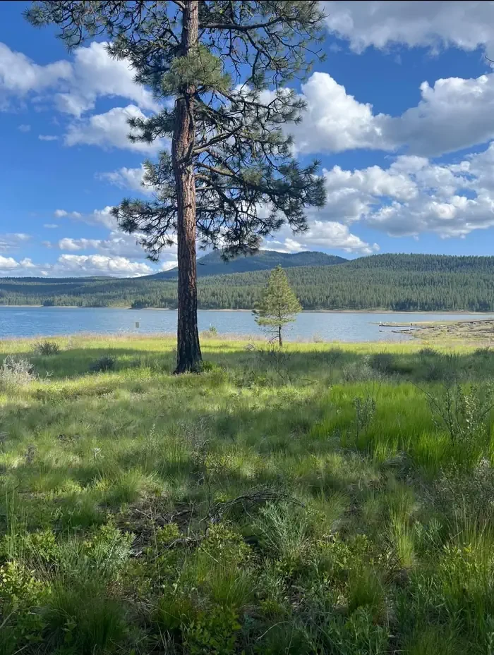 Union Creek Campground