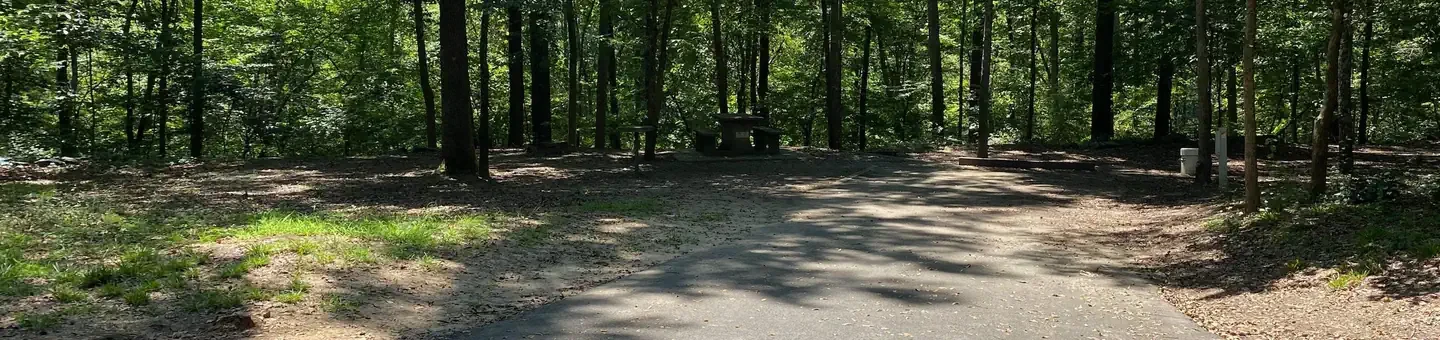 D09