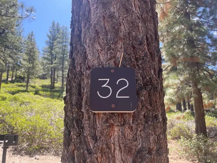 32