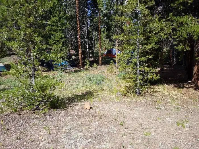 GR4