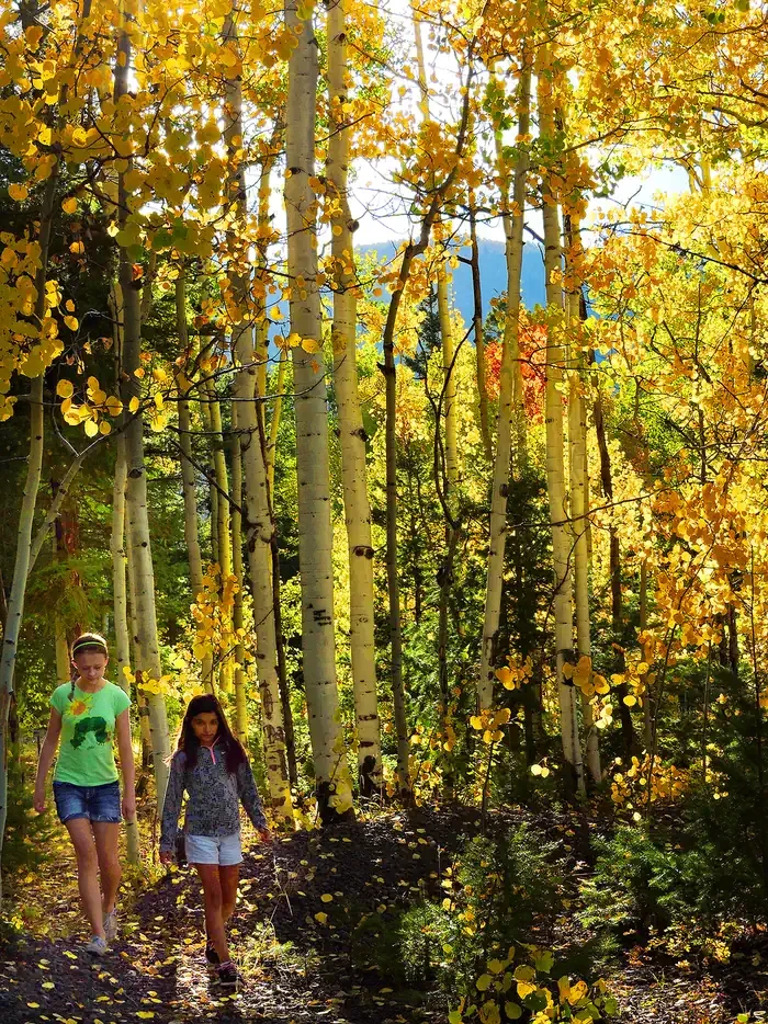 Great Sand Dunes National Park & Preserve
