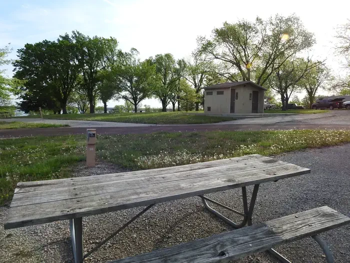 56