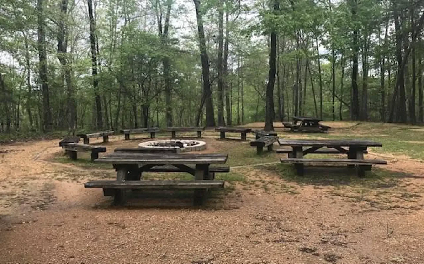 Acorn Camp