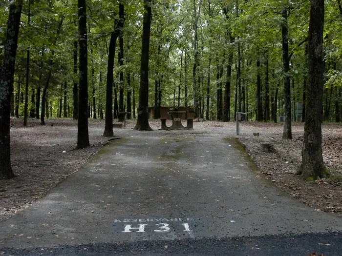 H31