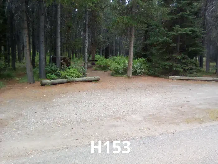 153