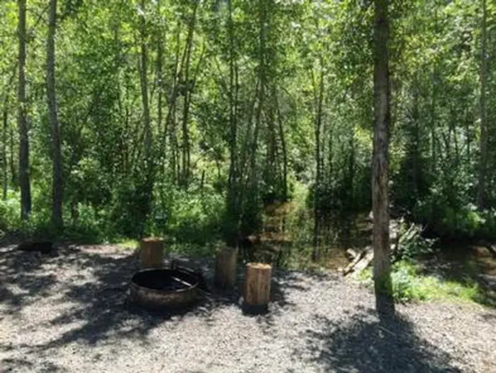 Zips Place Cabin