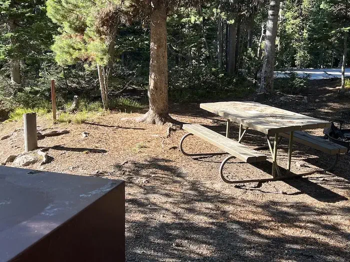 Lewis Lake site #2