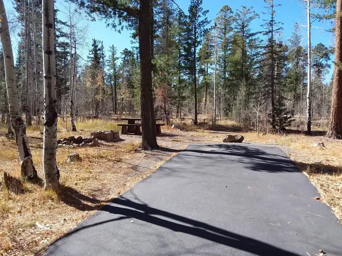 103