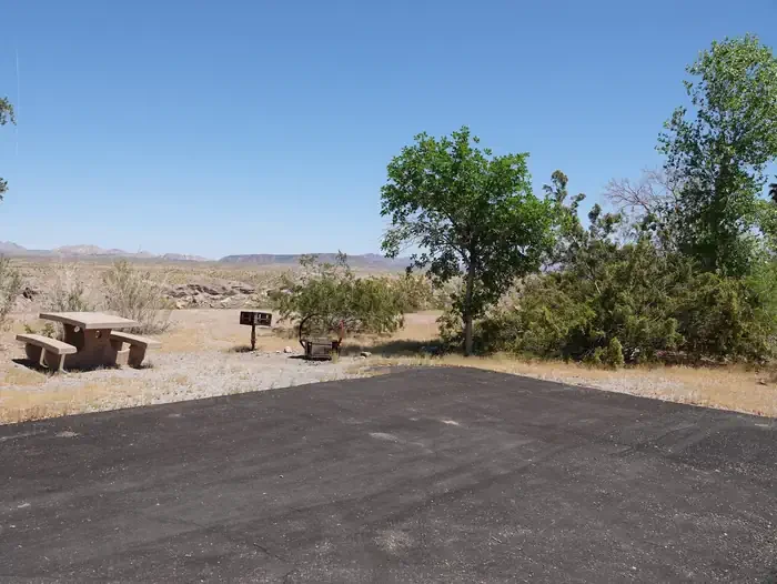 Site 60