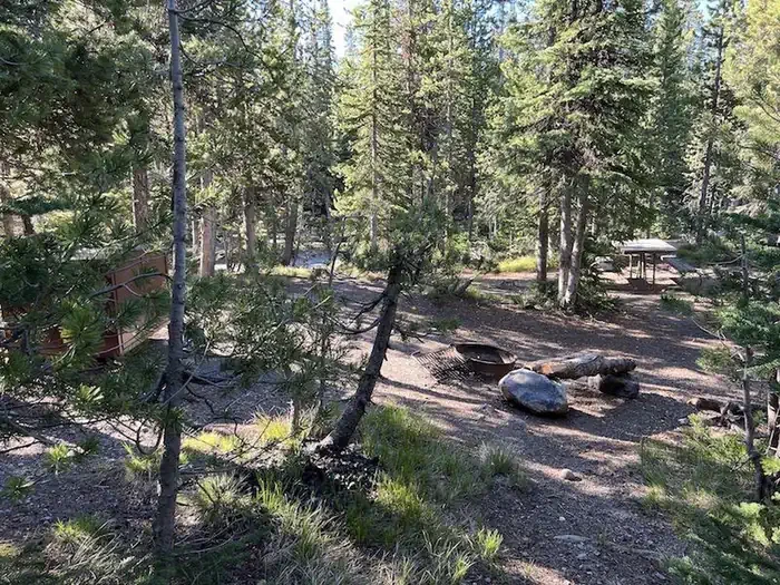 Lewis Lake site #83