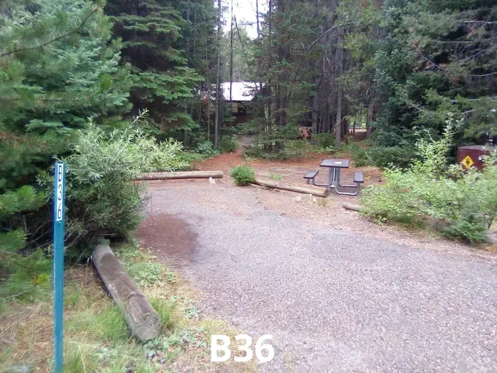 36