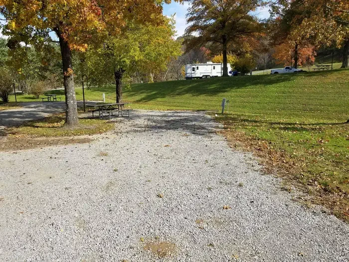 D36