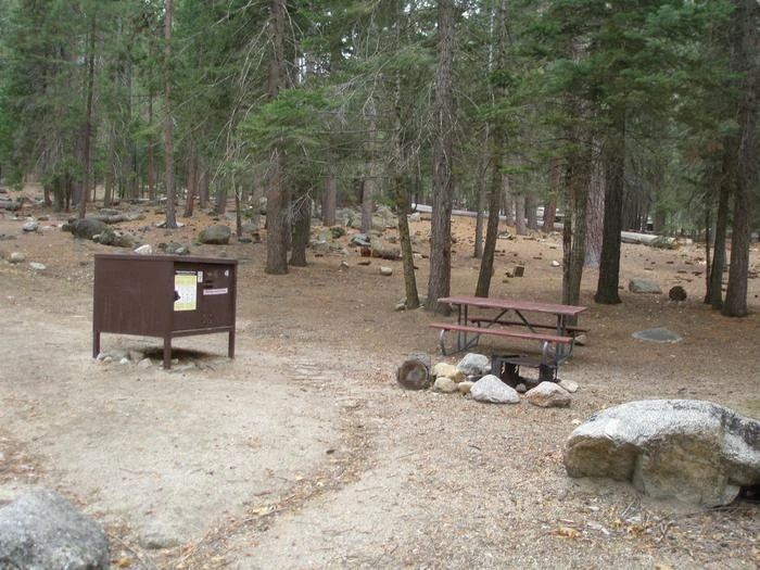 Site: 45