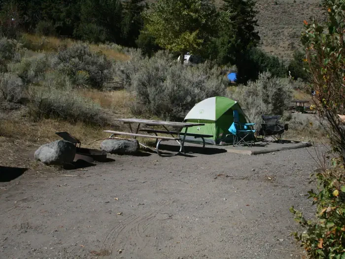 Mammoth site #80