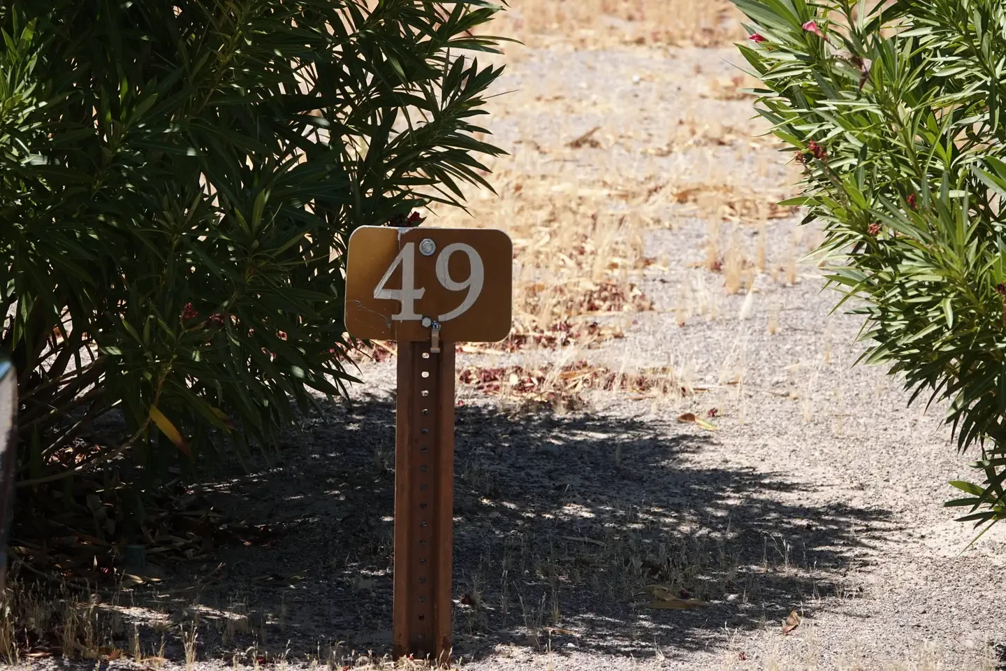 Site 49